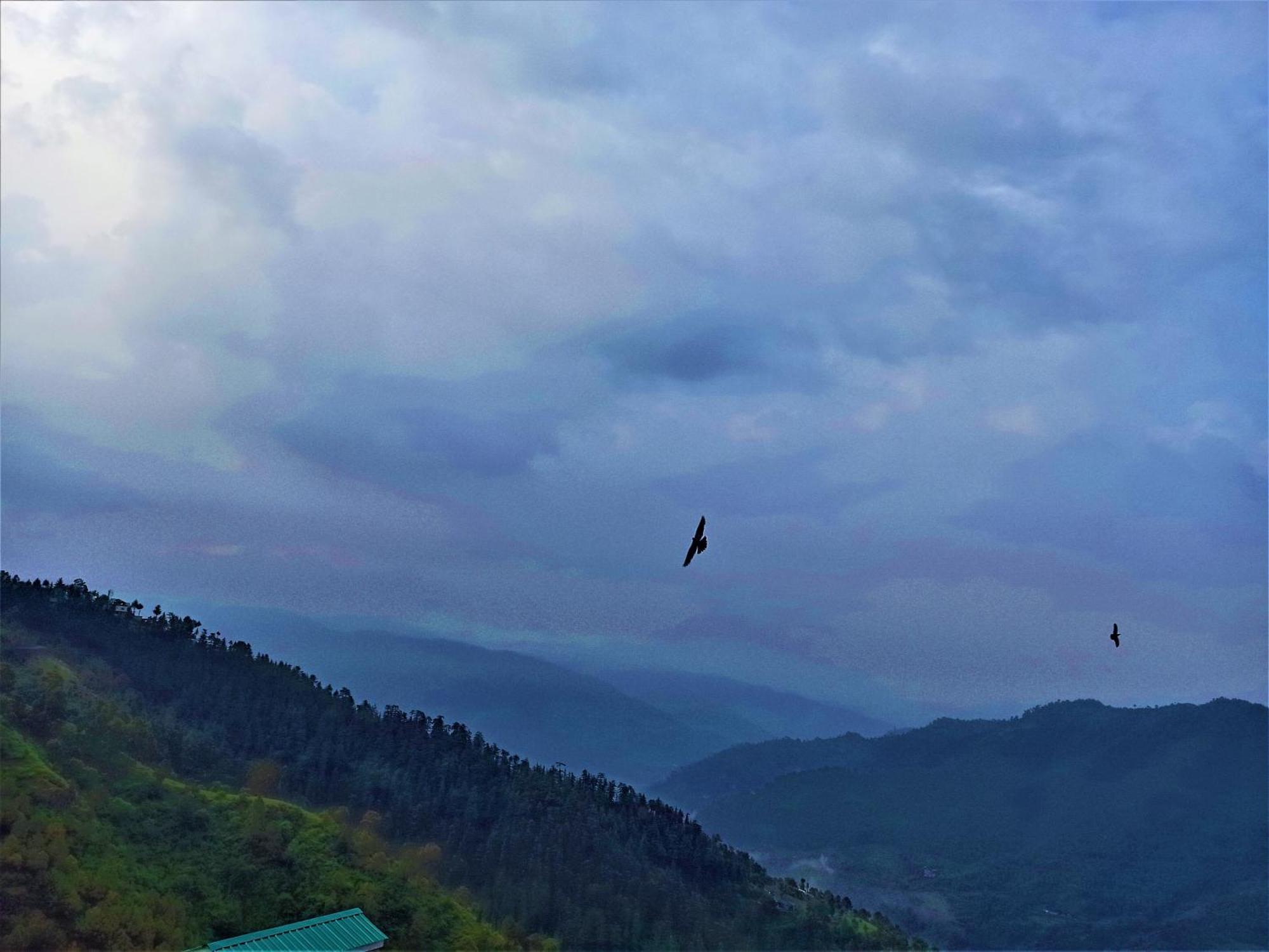 Apartamento Mountain And Peace Shimla Exterior foto
